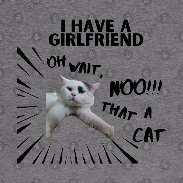 I HAVE A GIRLFRIEND. oh wait, no! thats a cat by always.lazy